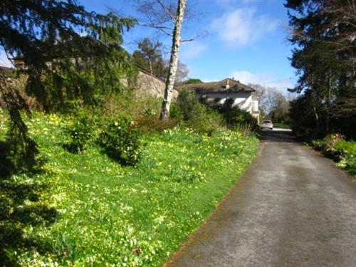 Sandhill House Country House Retreat Gunnislake Exteriör bild