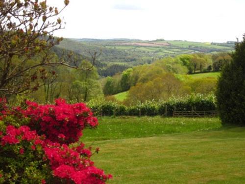 Sandhill House Country House Retreat Gunnislake Exteriör bild