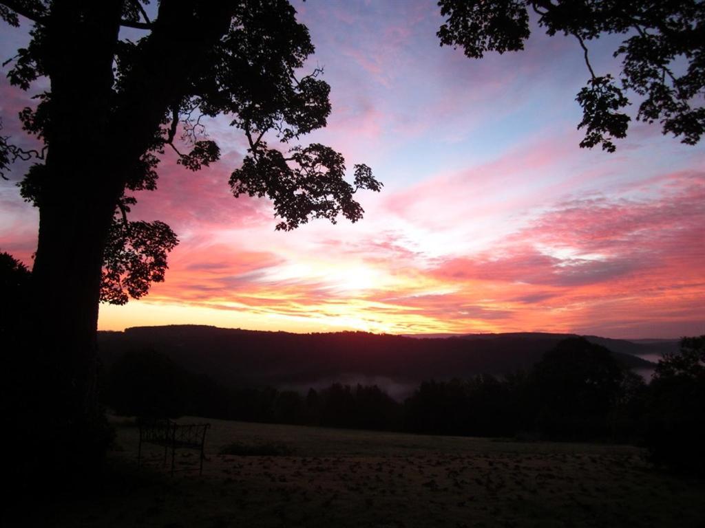 Sandhill House Country House Retreat Gunnislake Exteriör bild