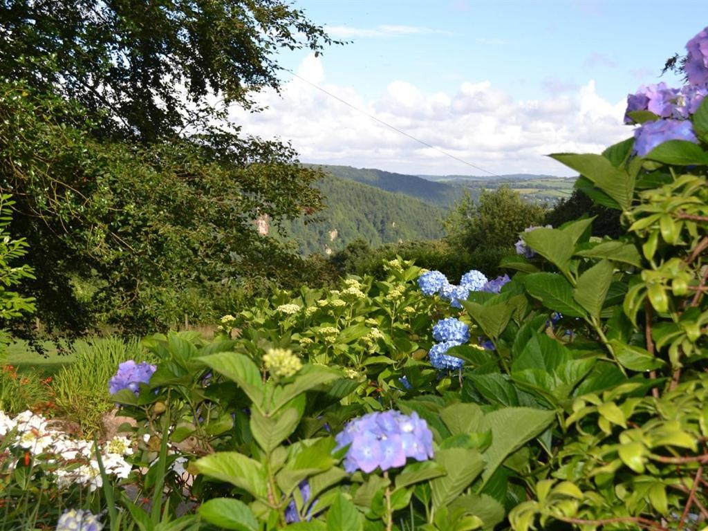 Sandhill House Country House Retreat Gunnislake Exteriör bild